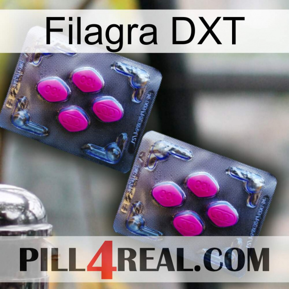 Filagra DXT 01.jpg